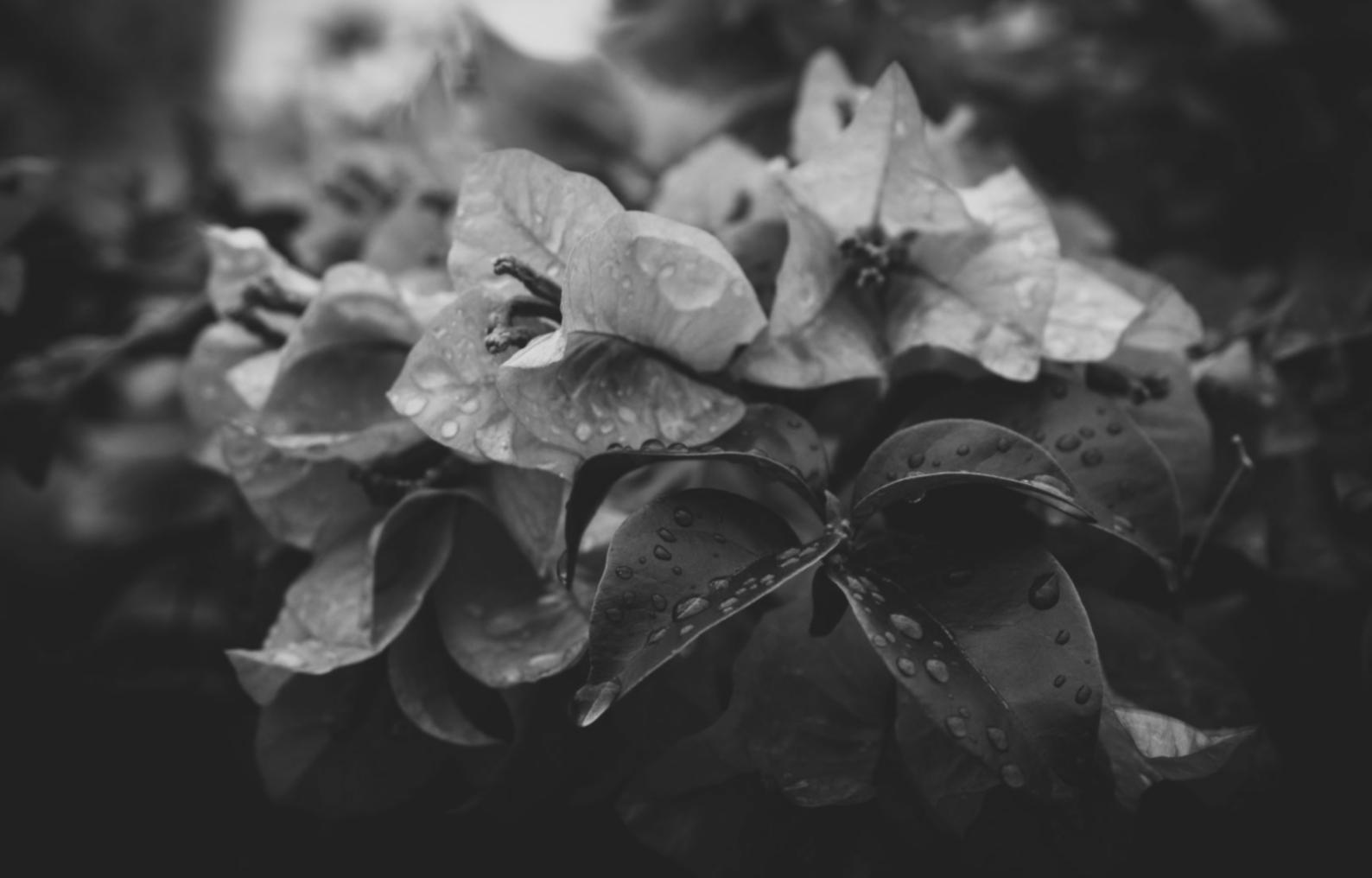 Environnement de travail créatif pour le développement de jeux